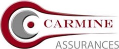 Logo Carmin